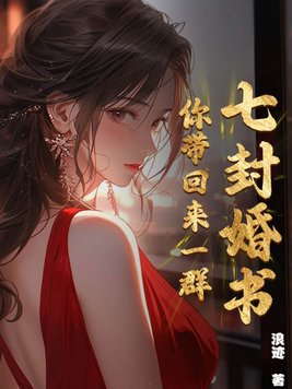 七张婚书的小说